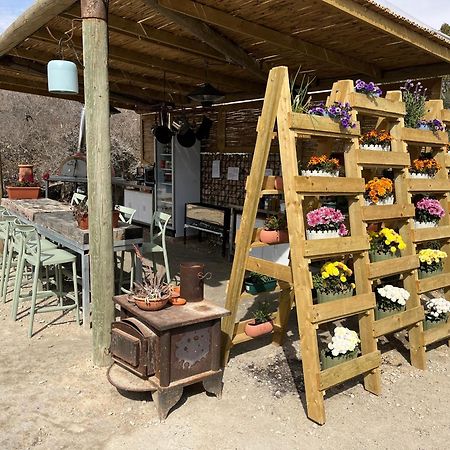 Carmey Avdat Farm Midreshet Ben Gurion Екстер'єр фото