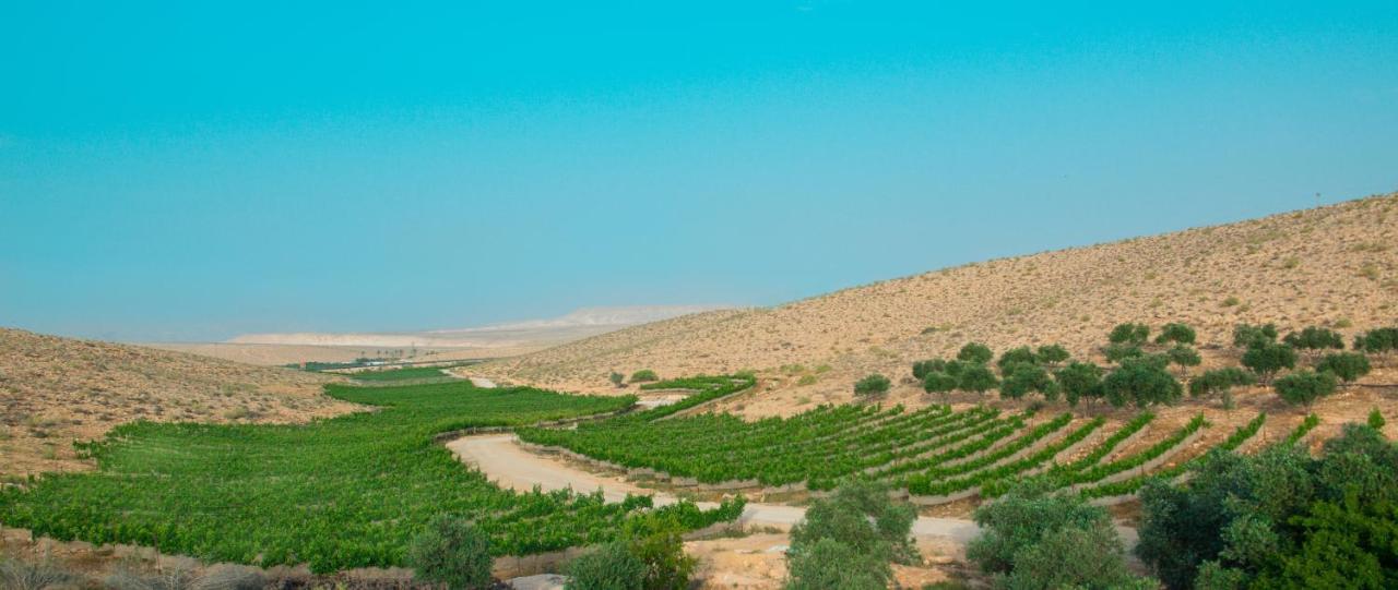 Carmey Avdat Farm Midreshet Ben Gurion Екстер'єр фото