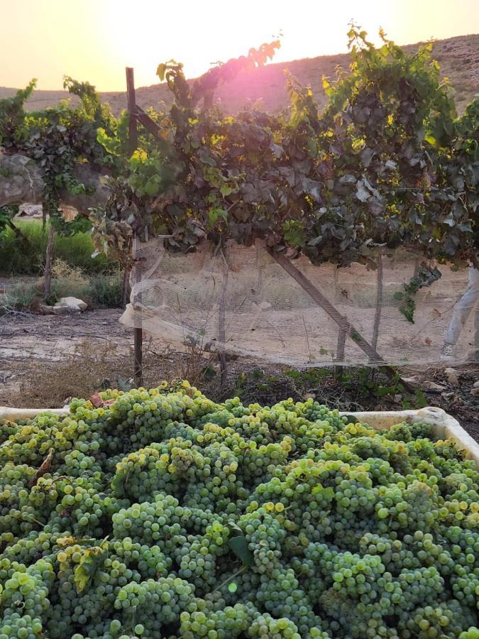 Carmey Avdat Farm Midreshet Ben Gurion Екстер'єр фото