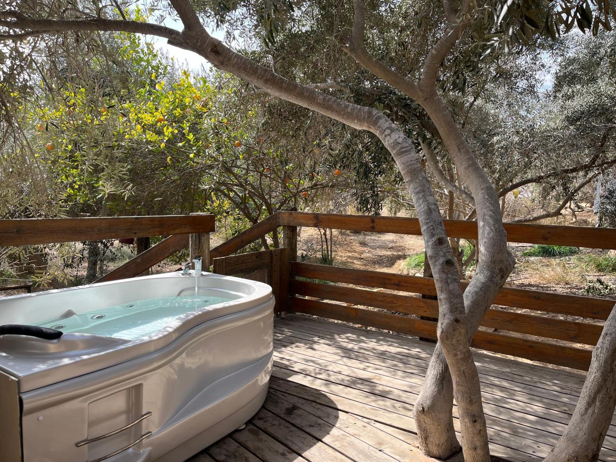 Carmey Avdat Farm Midreshet Ben Gurion Екстер'єр фото